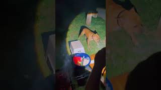 Gina, Garde Barbecue