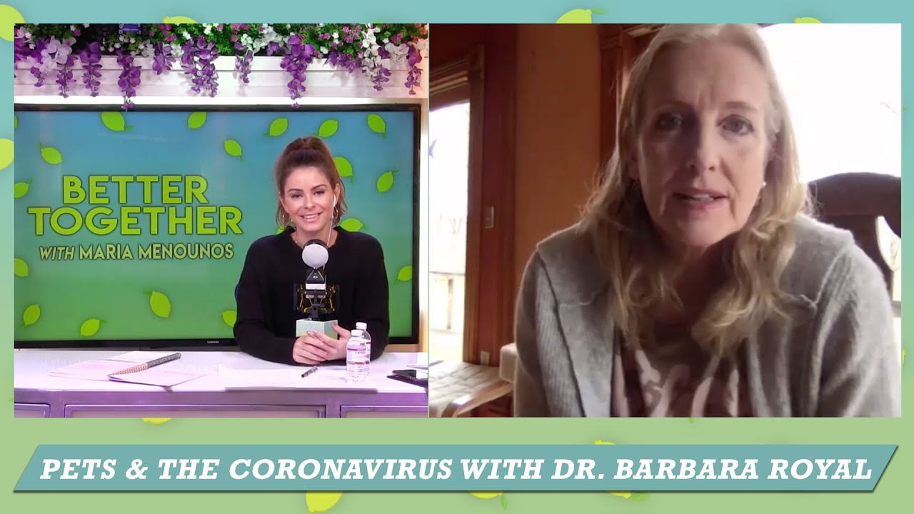 Pets & The Coronavirus with Dr. Barbara Royal & Maria