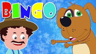 Бинго Собака | песня для детей | дети рифмовать | Preschool Song | Nursery Rhyme | Bingo The Dog