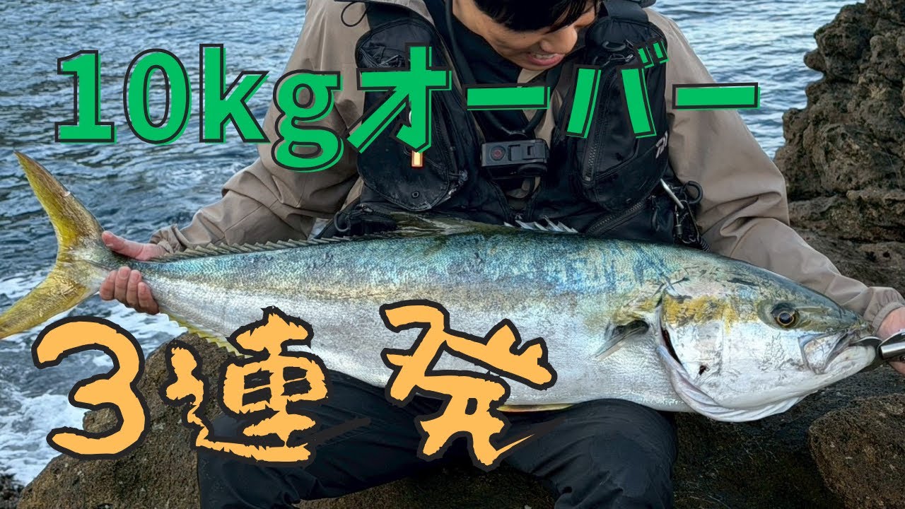 ヒラマサ10kgオーバー3連発！秋青物祭り【ロックショア】