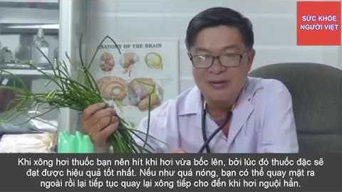 Cách chữa dứt điểm bệnh viêm xoang cực đỉnh bằng cây giao tại nhà