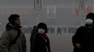 China's government vows to address smog News