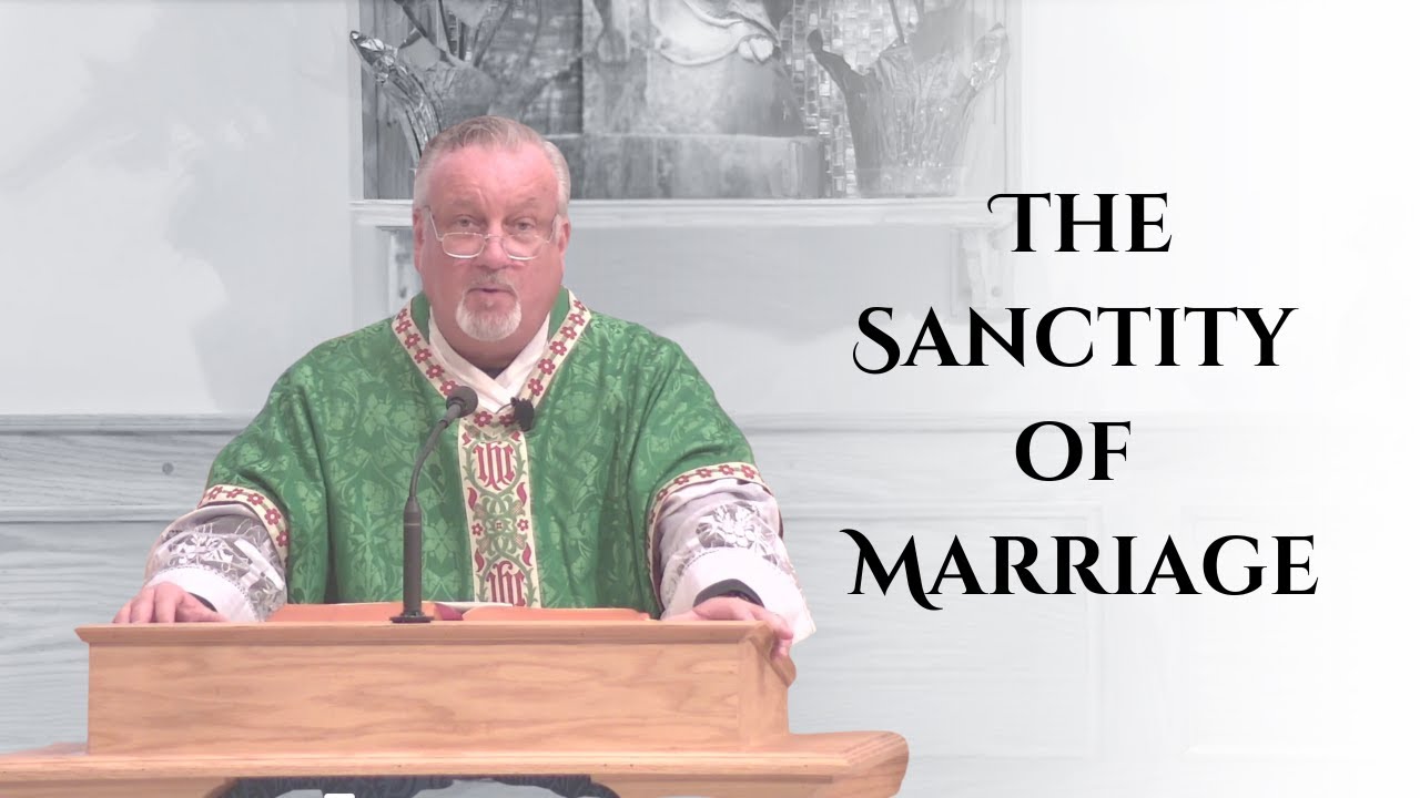 Свадьба в Кане Галилейской многому нас учит... | Отец Дэн Рихил | 2-е воскресенье после Пятидесят...