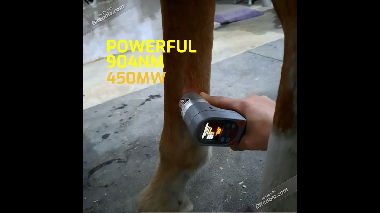 AEL IR 4400 Promotional Video