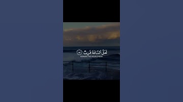 قرآن كريم بصوت القارئ اسلام صبحي تلاوة خاشعة ارح قلبك 💚🌿حالة واتس اسلامية /ستوريات انستغرام