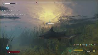 Maneater - Episode 4: Fiyo On The Bayou: Consume 10/10 Catfish Xbox One X Gameplay (2020)