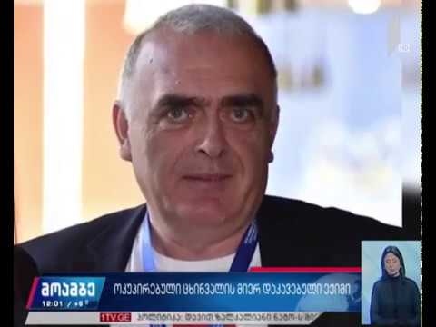 ვაჟა გაფრინდაშვილის საქმე - განცხადებები მთავრობის სდომაზე