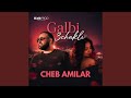 Galbi 3chakli Men Koulchi Jaya Mekmoula 