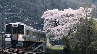 第2高梁川橋梁を渡る213系3両編成