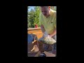 Cheapest THCA Pounds? | Master Distributor Hemp Market Documentary