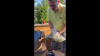 Cheapest THCA Pounds? | Master Distributor Hemp Market Documentary