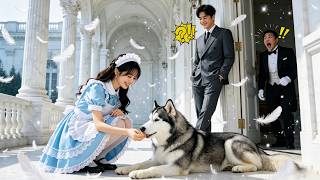 99 maids failed,Only a poor girl calmed the CEO’s dog! He married her & spoils her crazy!