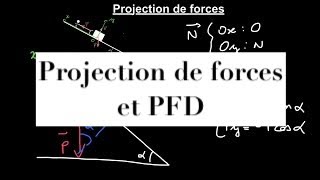 Méthodes scientifiques : projection de forces et principe fondamental de la dynamique