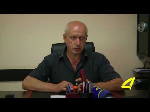 გამხმარი ხეები ქალაქის შემოსასვლელში 30- 08- 2017