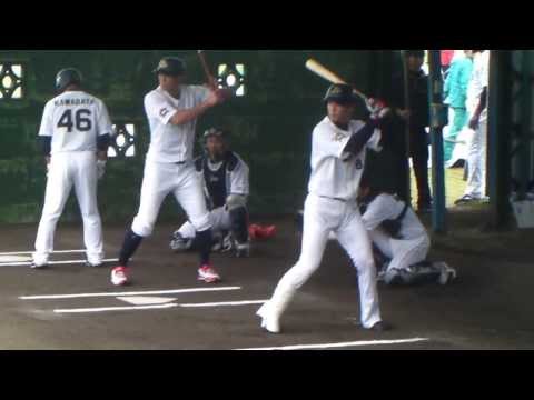 駿太、糸井嘉男、川端崇義 オリックスバファローズ 沖縄宮古島キャンプ 2014