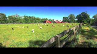 iPhone Panorama Photography with Original Piano Music by Hal Sokolow on Roland Fantom X X8 screenshot 1