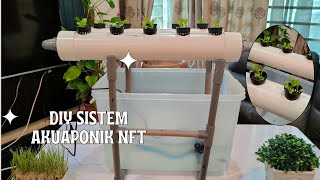 DIY Sistem Akuaponik NFT | Akuaponik RBT Tingkatan 2 | Sayur Sawi Pak Choy ☘️| Ikan Talapia Merah 🐠