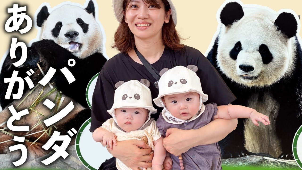 Первый визит близнецов в тематический парк 🐼