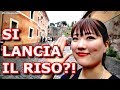 GIAPPONESE REACTION MATRIMONIO ITALIANO! - Vivi Giappone