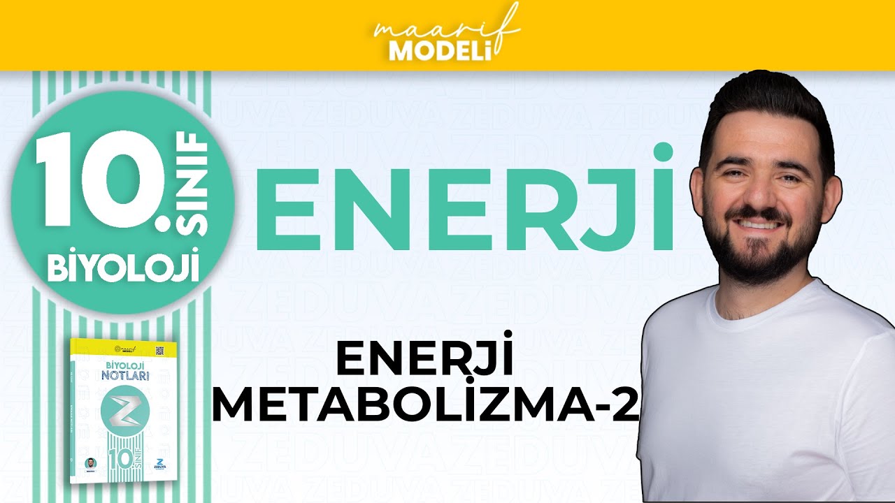 Enerji Metabolizma İlişkisi-2 | Enerji 1.Ünite | 10.sınıf biyoloji maarif model | ZEDUVA