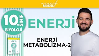 Enerji Metabolizma İlişkisi-2 Enerji 1.Ünite 10.Sınıf Biyoloji Maarif Model Zeduva
