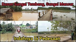 Download Lagu Pedesaan Jambi || Jalan-jalan Sore Di Dusun Tuo Sungai Mancur MP3