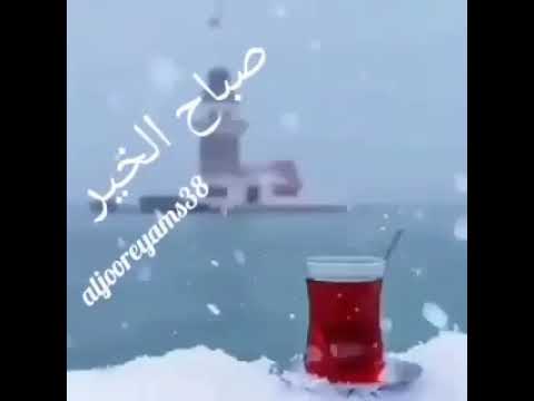 كل الصباحات تبدو متشابهه تلك التي نبدأها معا غير فيروز حالة واتس اب