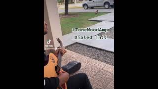 Godwyn Guitars Dialed in with ToneWoodAmp