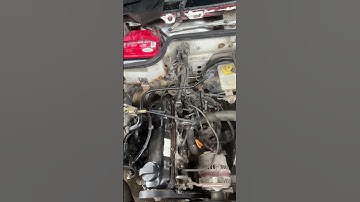 Pointer 1998 tiempo correcto distribuidor!