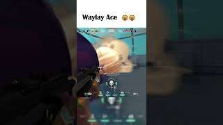 Waylay ACE  #valorant #shorts