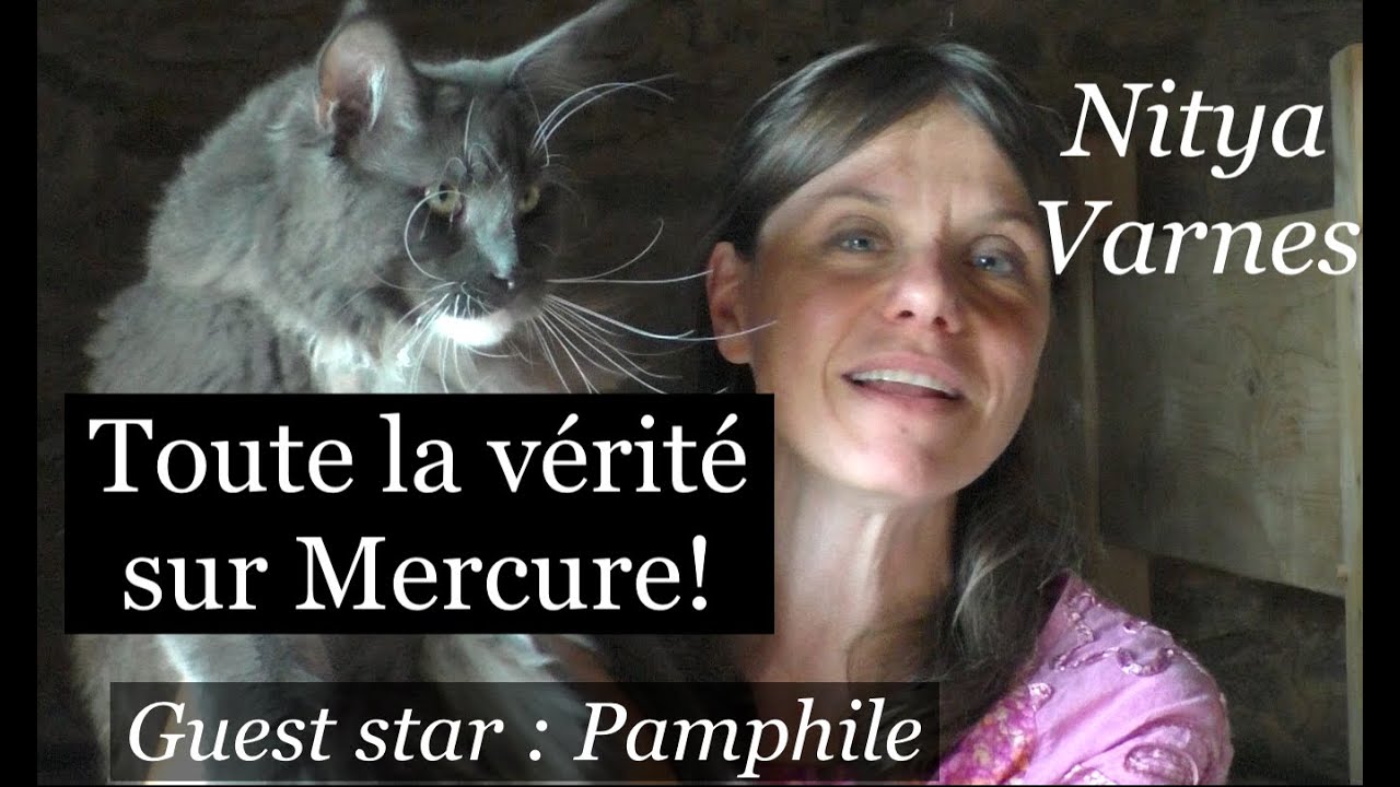 Toute la vérité sur Mercure