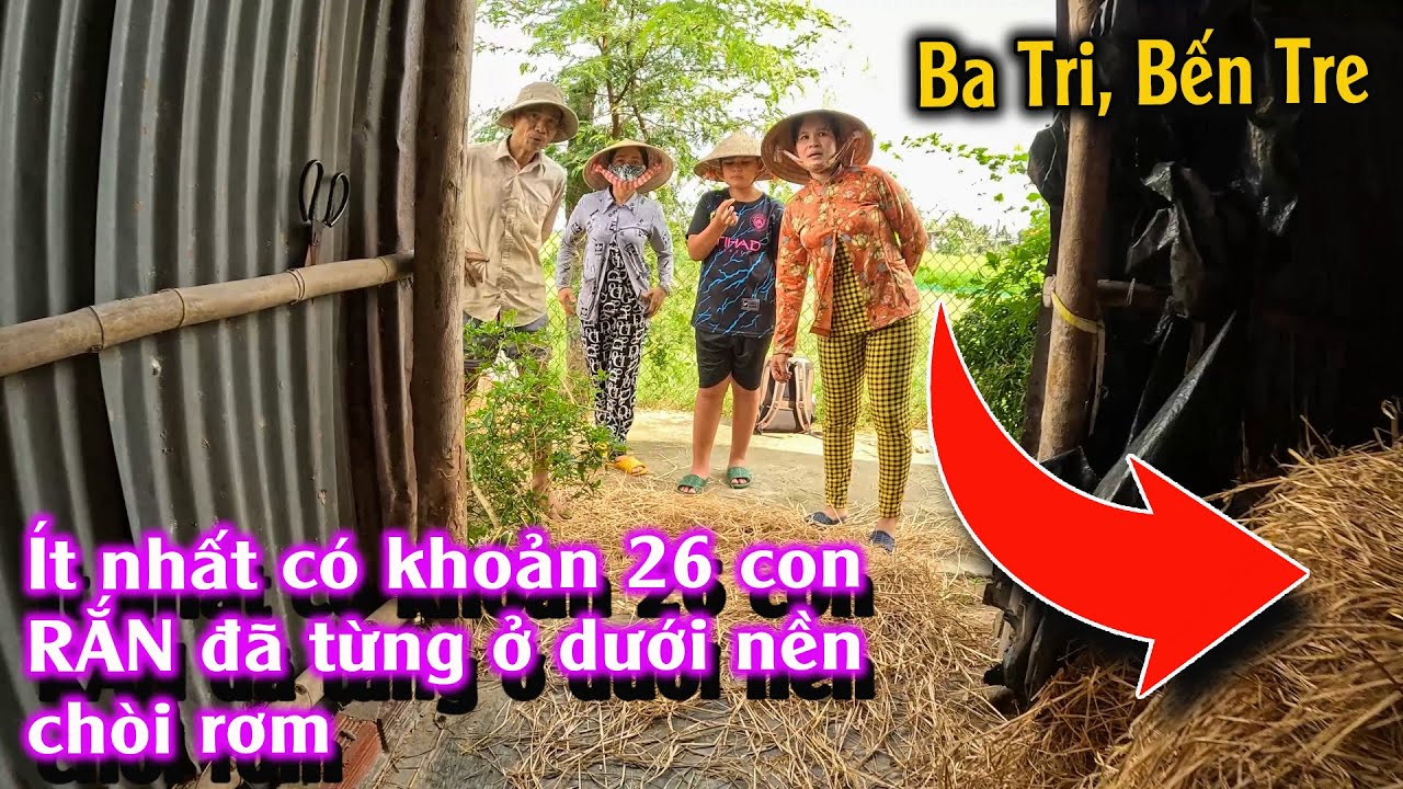 ĐỘNG RẮN ở chòi rơm | TGSB #1063