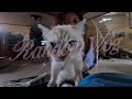 random vlog (feb 2026)