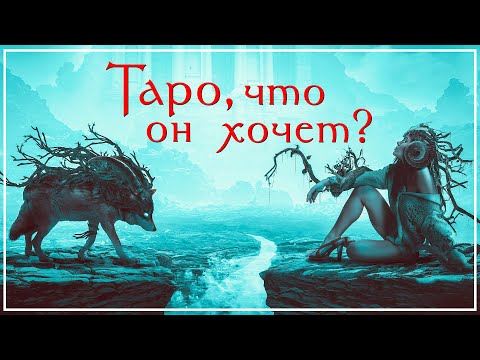 Как понять НАМЕРЕНИЯ мужчины в Таро / ОТКРОВЕННЫЙ ЭФИР #11