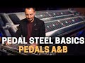 Beginners pedal steel guitar  1  ab pedals