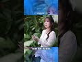 Vẹn Nguyên 🌸 #hlmediaentertainment #hlmediagroup#thanhtran #huynhleartist