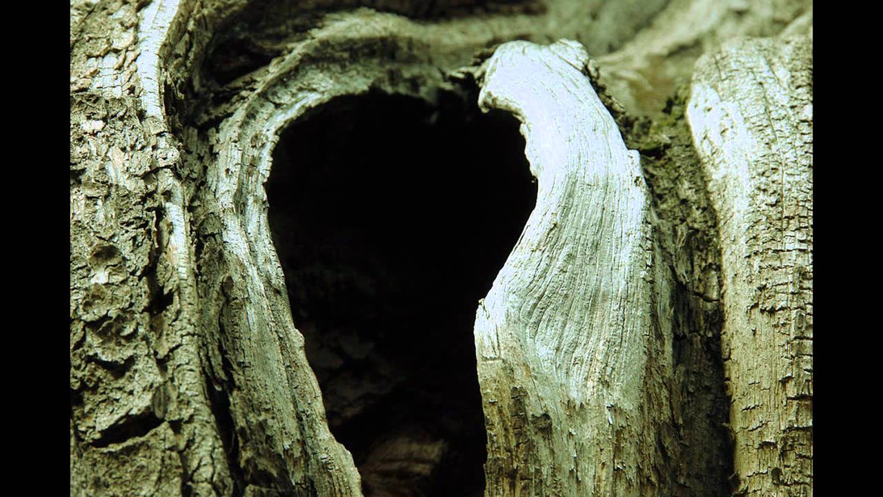 KnightFreq ft Just Iris - Touch The Stars [HD]