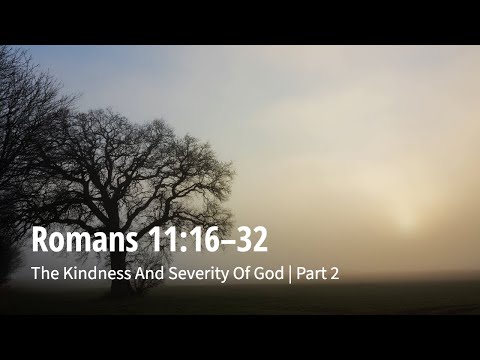 Romans 11:16-32 | The Kindness And Severity Of God | Part 2