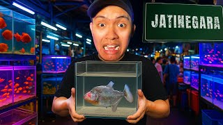I Bought A Piranha and Went To Jatinegara Fish Market