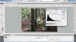 Fireworks CS5: Retouching and Color Correction