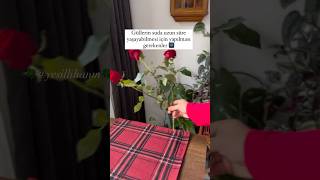 Vazoda Gül Bakımı