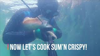 Quest for a Cuttlefish - Catch and Cook + CRISPY Recipe [2021]