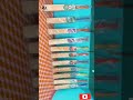 Best cricket bat kashmiri wood  halio jesha  cricketlover batsman sanskar youchannel