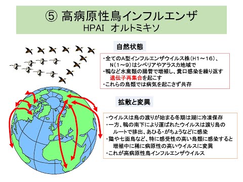 家禽疾病対面反転授業1回2021 edit