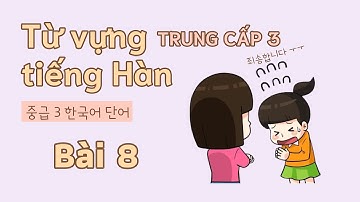 Từ vựng tiếng Hàn trung cấp 3 - Bài 8 | Đọc dịch song ngữ