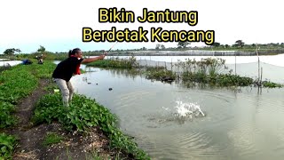 Meronta ronta,,,,di imbangi dgn santai biar Gak putus