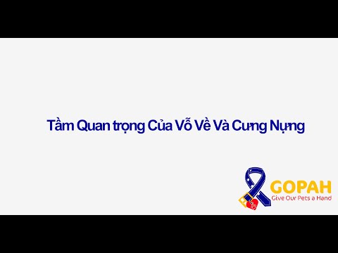 Video: Tầm Quan Trọng Của Bác Sĩ Thú Y đối Với Mèo