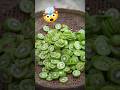 Secret Behind China S Wild Dried Kiwis Secret Behind China S Wild Dried Kiwis