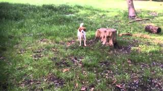 Trim 2E0031Ae D1E2 41E7 Bc76 84022Bffd435