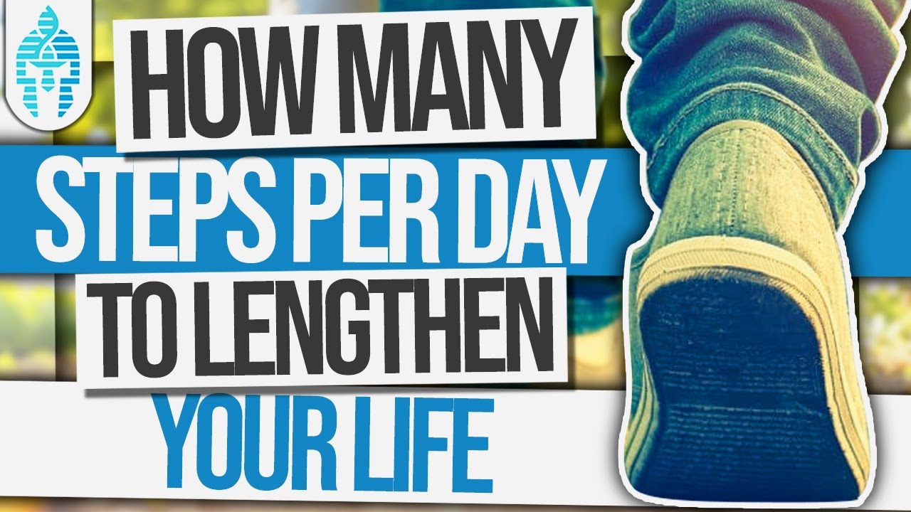 How Many Steps Per Day to Lengthen Your Life? Lengthen YouTube
